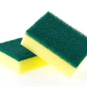 Sponges